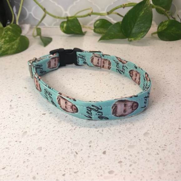 Dog collar: Ryan Gosling ‘Hey Girl’ novelty dog collar - fits 10”- 16” neck - Picture 11 of 14